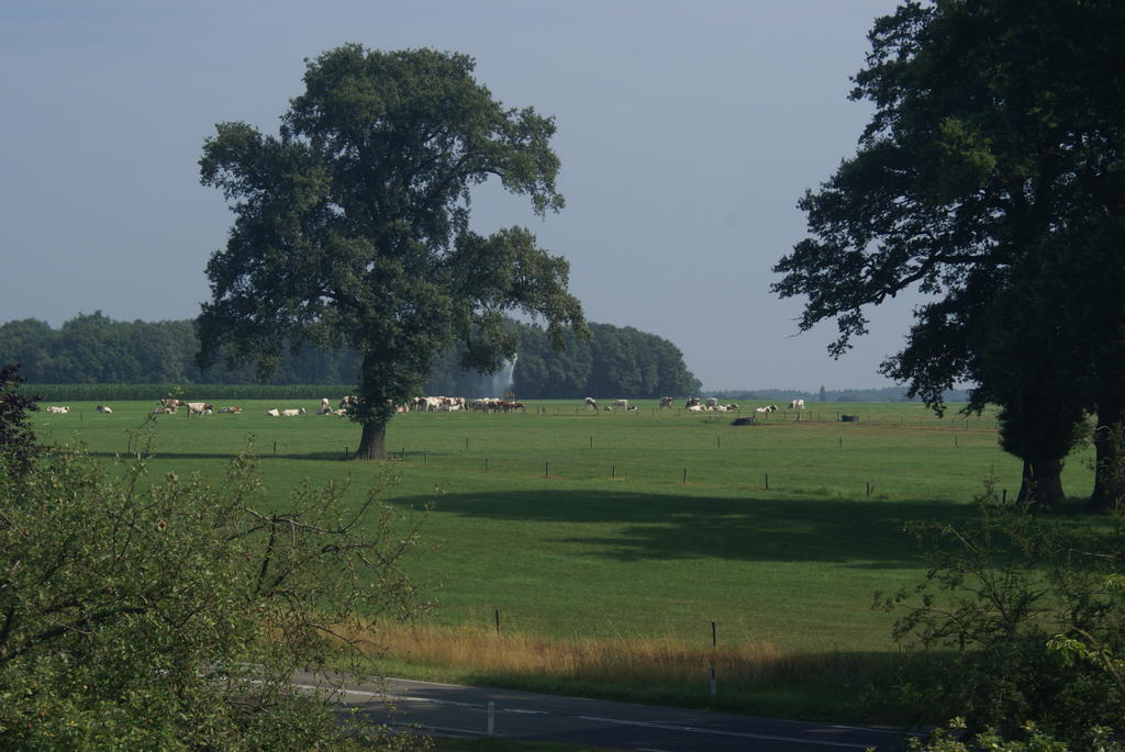 Hotel De Hoestinkhof